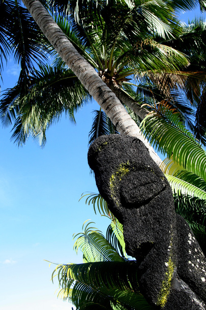 Antigua estatua en palmeras
 - Foto, imagen
