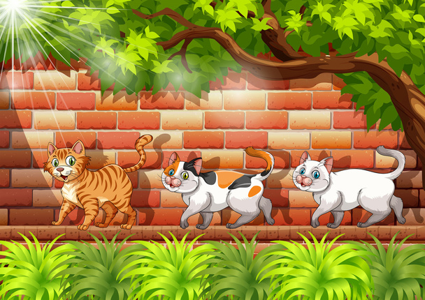 Three cats walking on the wall - Vektor, kép