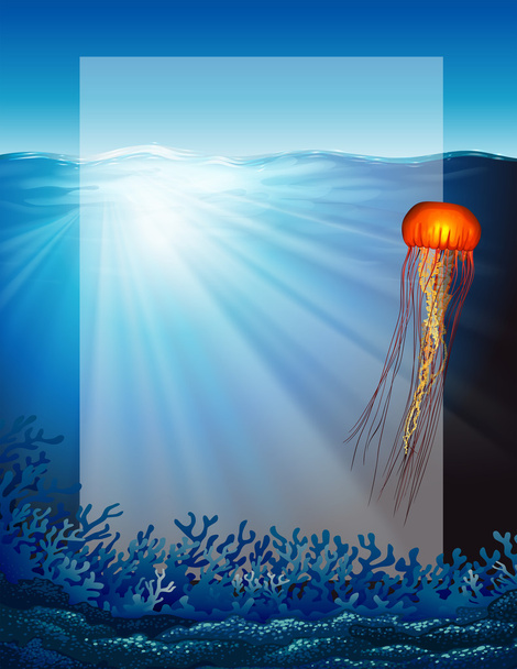 Medusas bajo el océano
 - Vector, Imagen