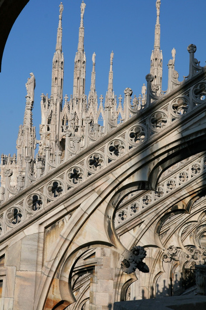 Duomo IV (detalle)
) - Foto, Imagen