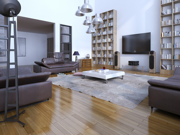 Amplia sala de estar contemporánea con estanterías
 - Foto, Imagen