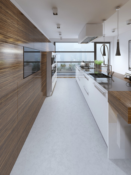 Contemporary kitchen trend - Photo, Image