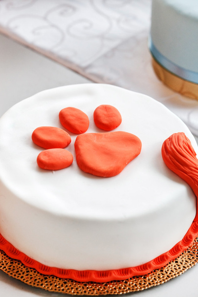 cake for cat on plate - Фото, зображення