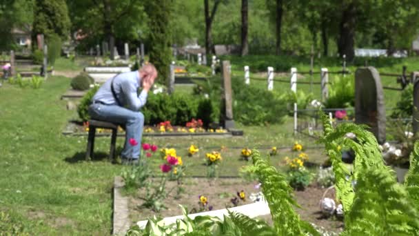 Sorrow man shrink near mother wife tomb in graveyard. 4K - Footage, Video