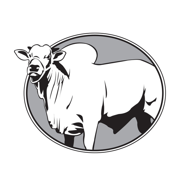 Bull zebu rocznika logo - Wektor, obraz