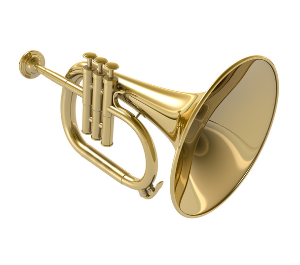 Trompet - Foto, afbeelding