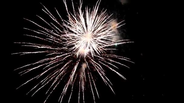 firework - Footage, Video