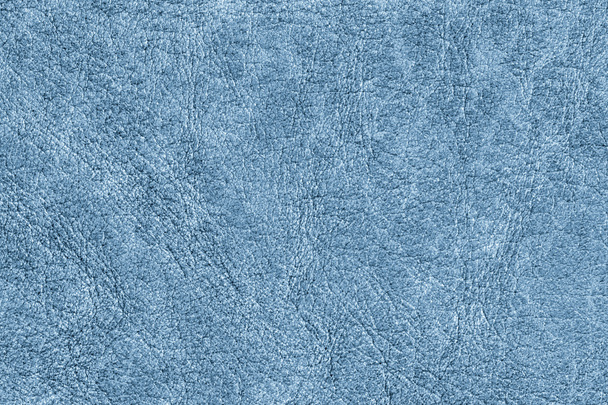 アンティーク ブルー動物の皮羊皮紙グランジ テクスチャのサンプル - 写真・画像