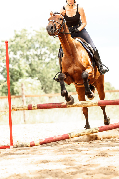 Vrouw jockey opleiding paardrijden paard. Sport activiteiten - Foto, afbeelding