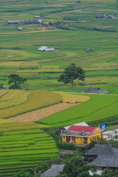 Hmong dorp tussen de rijstvelden in Sapa - Foto, afbeelding