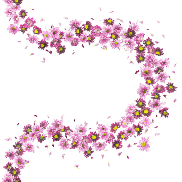 Curva de flores violetas
 - Foto, Imagem