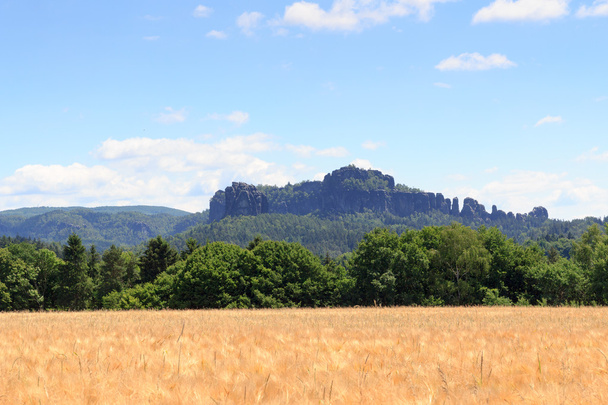Csoport, a kőzetek Schrammsteine és Falkenstein gabona a mező és a kék ég, a szász-Svájc - Fotó, kép