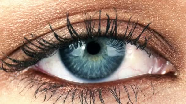 Close-Up πυροβολισμό μακρο θηλυκό ανθρώπινο μάτι αναβοσβήνει - Πλάνα, βίντεο