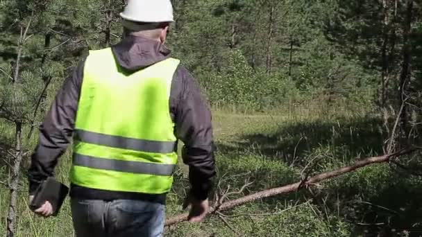 Oficial forestal caminando en el bosque
 - Metraje, vídeo