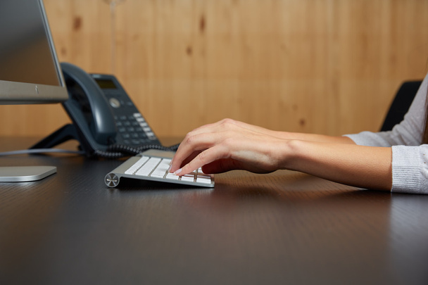 vrouw te typen op een toetsenbord van de computer - Foto, afbeelding