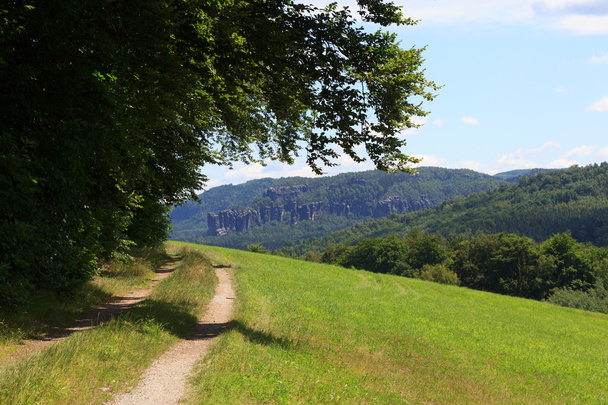 Hiking path and group of rocks Affensteine in Saxon Switzerland - Photo, Image