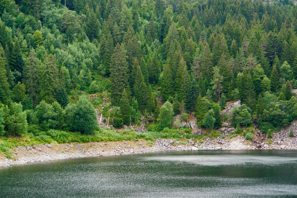 Lac Noir - Foto, Imagen
