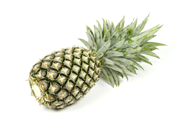 Pineapple isolated on white background. - 写真・画像