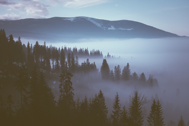 ομίχλη στα βουνά - Φωτογραφία, εικόνα