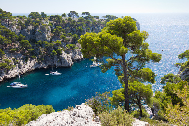 Calanques of Port Pin in Cassis - 写真・画像