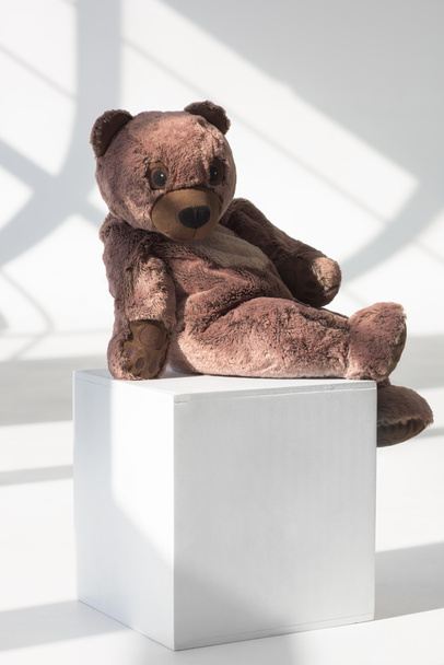 Teddy Bear on Cube - Photo, Image