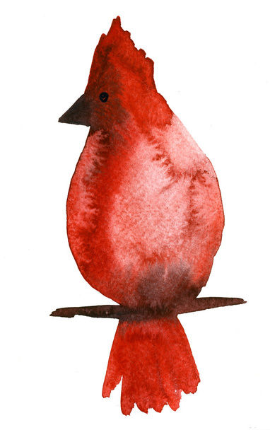 painted Watercolor parrot - Фото, изображение
