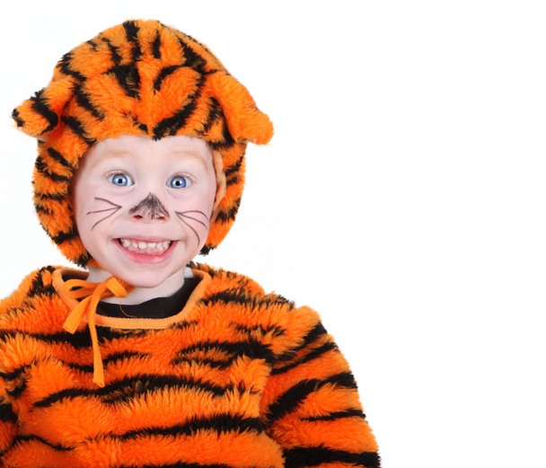 Costume de tigre
 - Photo, image