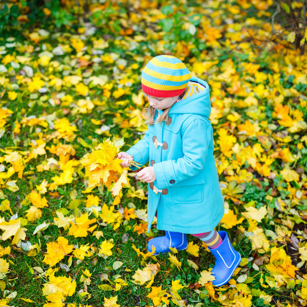 Little girl outdoors on autumn day - Fotografie, Obrázek
