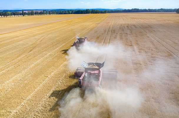 Комбайни і трактори, що працюють на пшеничному полі
 - Фото, зображення