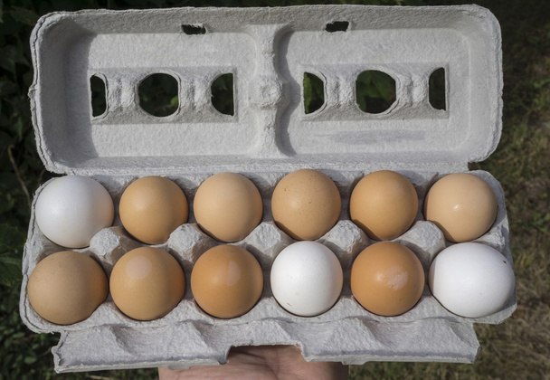 Mixed Colored Organic Eggs In Recycled Egg Carton - Photo, Image