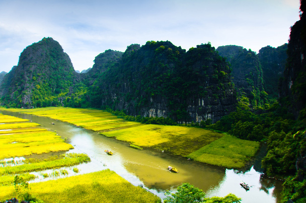 Fiume NgoDong attraverso campi di riso a Ninh Binh, Vietnam
. - Foto, immagini