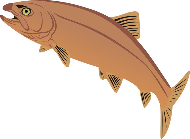 Рідкісні риби
 - Вектор, зображення