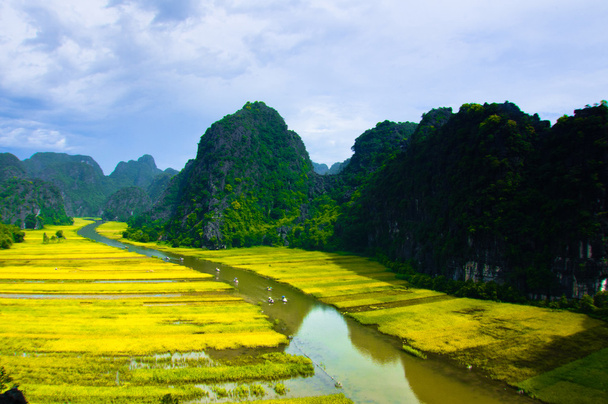 Río NgoDong a través de campos de arroz en Ninh Binh, Vietnam
. - Foto, imagen