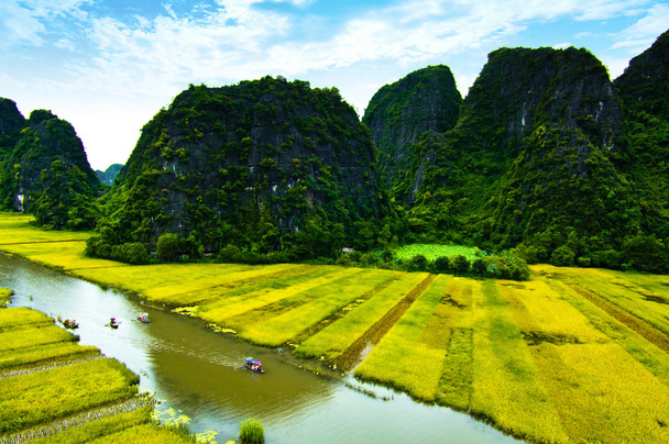 Río NgoDong a través de campos de arroz en Ninh Binh, Vietnam
. - Foto, imagen