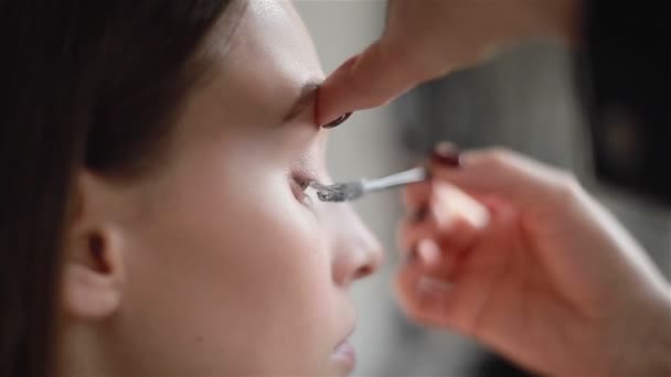 Side view of professional mascara application with a brush - Footage, Video