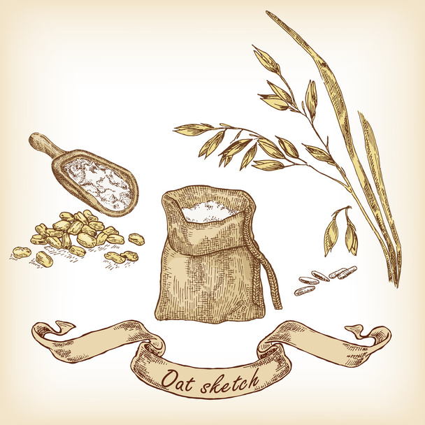 Bakery sketch. Hand drawn illustration of oats and grain - Vektor, Bild