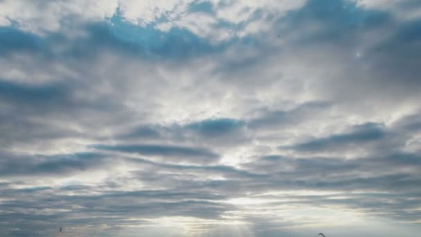 Time lapse of fluffy clouds moving fast in blue sky 4K - Footage, Video