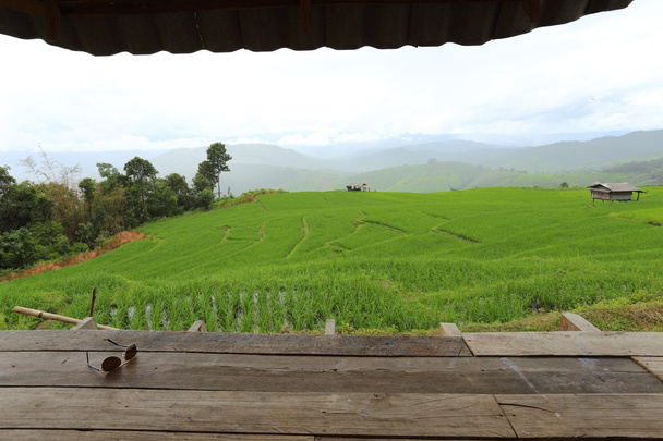 rýžové terasy - Fotografie, Obrázek