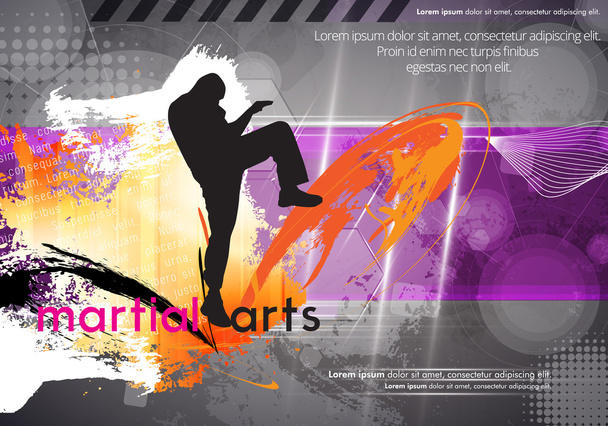 Karate sport illustratie - Vector, afbeelding