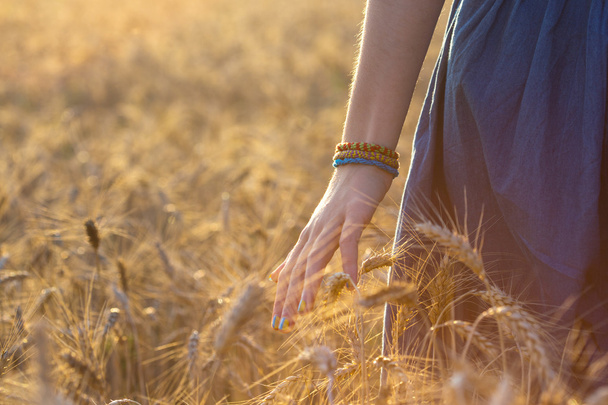 hand and wheat - Фото, изображение