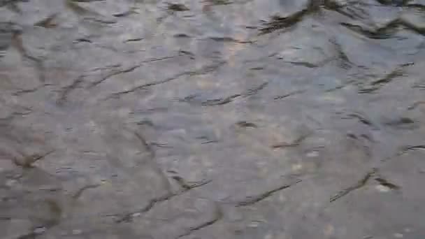 Абстрактна фонова текстура з живою проточною водою
 - Кадри, відео