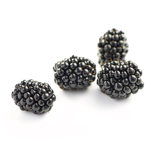 Blackberries in a group of four photographed on a white backgrou
 - Фото, изображение