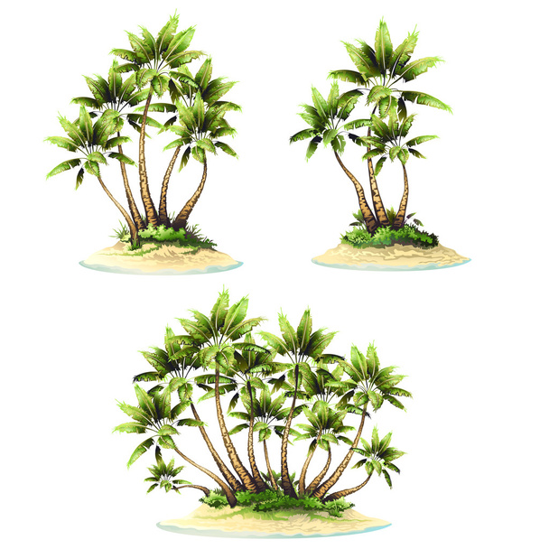 tropikal palmiye ve ada - Vektör, Görsel