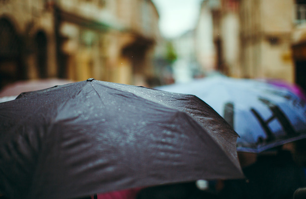 Varios paraguas en la calle
 - Foto, Imagen