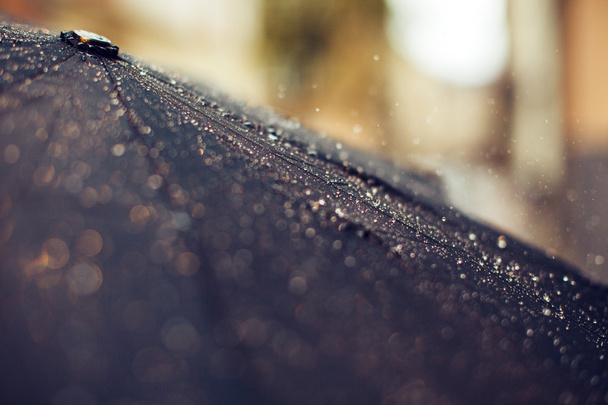 Umbrella with rain drops - Fotoğraf, Görsel