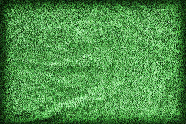 altes kelly green rindsleder creasy grob vignette grunge textur sample - Foto, Bild