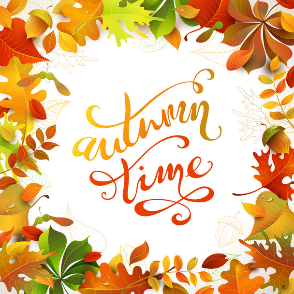 Bright colourful autumn leaves - Vector, Imagen