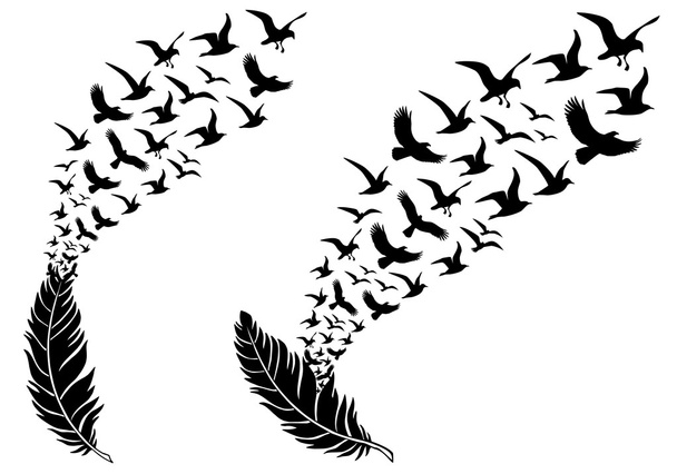 feathers with flying birds, vector - Vector, Image