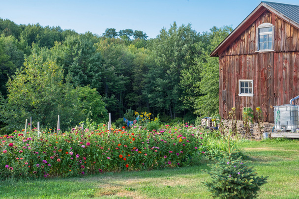 Casa rural con jardín
 - Foto, Imagen
