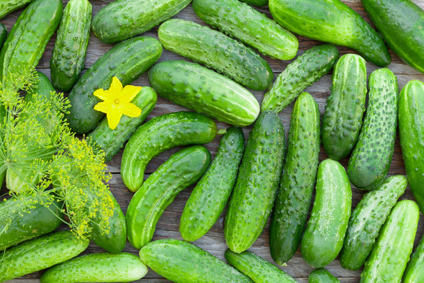 Ripe cucumbers texture - Photo, Image